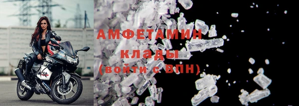 молекула духа Арсеньев