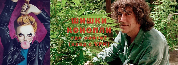 бошки Аркадак