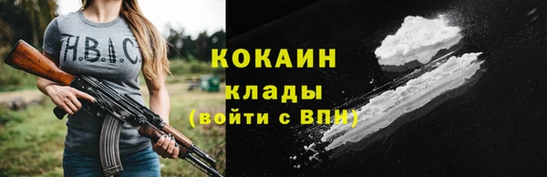 бошки Аркадак