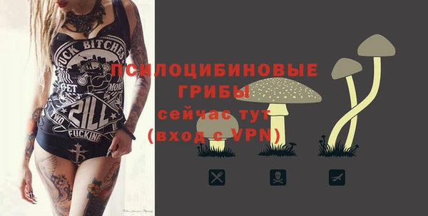 молекула духа Арсеньев