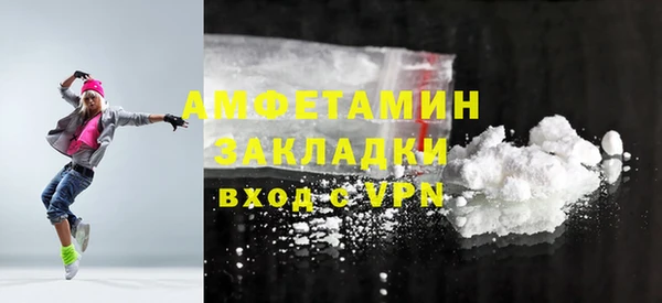 молекула духа Арсеньев