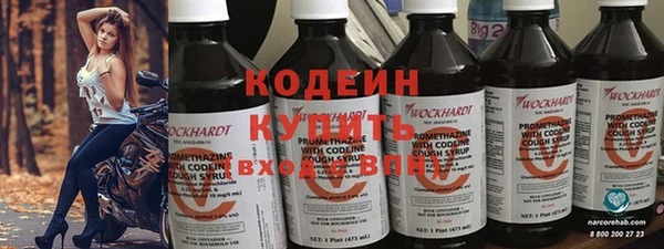 молекула духа Арсеньев