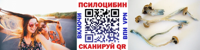 что такое   Рыбинск  Галлюциногенные грибы ЛСД 