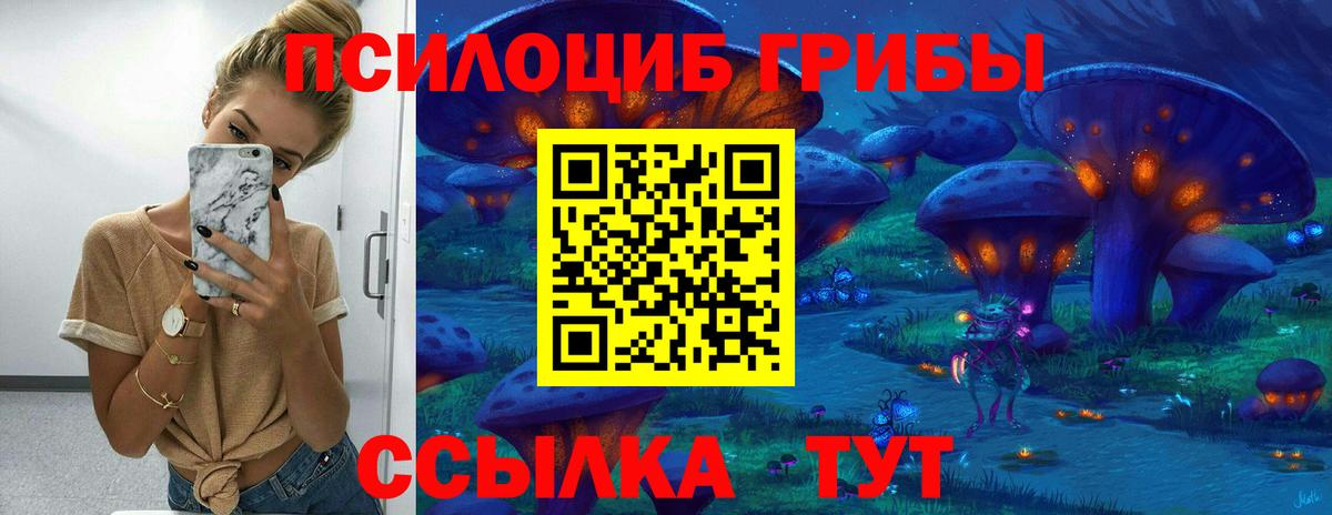 Псилоцибиновые грибы Cubensis Рыбинск